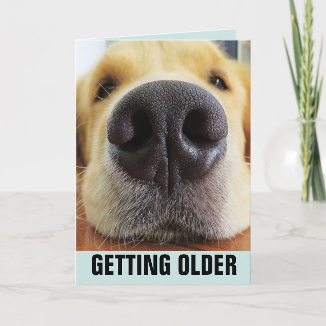 FUNNY D'ANNIVERSAIRE OBTENIR DES CARTES DE SALUT D (Devant)