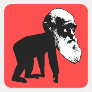 Funny Darwin evolution Square Sticker