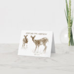 Funny Deer Birthday Card for men<br><div class="desc">This birthday card features a special illustration of two deer drawn from my own photograph! Those who like the outdoors,  hunting,  and deer in particular will enjoy receiving this card. You can add your own custom sign off for a special touch.</div>