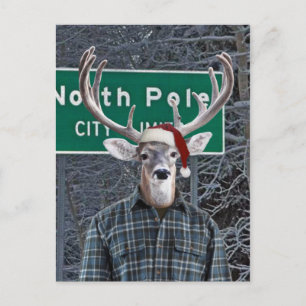 Funny Deer Wearing Santa Hat at North Pole Holiday Postcard