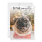 Funny Define Naughty Dog Pet photo Christmas