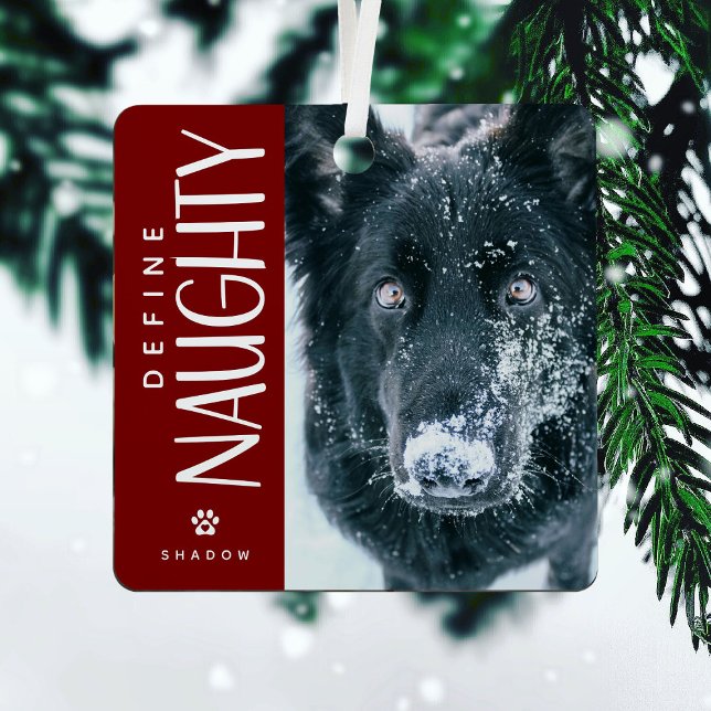 Funny Define Naughty Pet Photo Keepsake Gift Metal Ornament (Creator Uploaded)