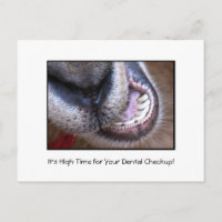 Funny Dental Checkup Appointment Reminder Goat