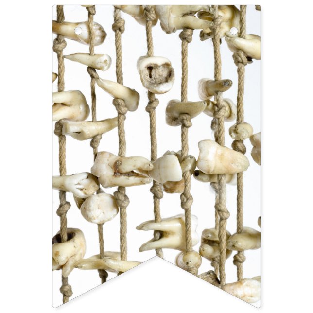 Funny Dental Photography Extracted Teeth Dentist Bunting Flags (First Flag)