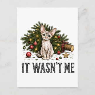Funny Devon Rex Cats Christmas It Wasn't Me Postcard