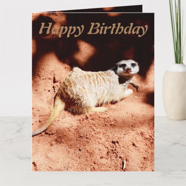 Funny Digging Meerkat Jumbo Birthday Card, Card (Front)