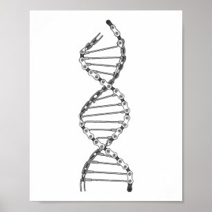 Funny DNA Cycling Bicycle Chain Mountain Bike Love Poster