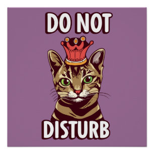 Funny Do Not Disturb Poster