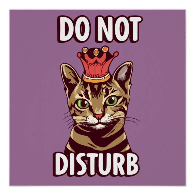 Funny Do Not Disturb Poster (Front)