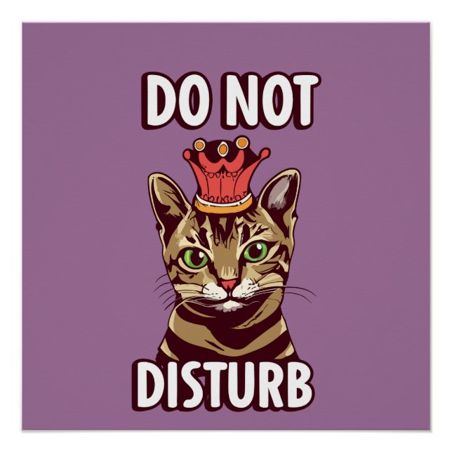Funny Do Not Disturb Poster (Front)