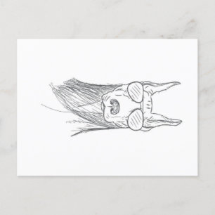 Funny Doberman Dog With Sunglasses Holiday Postcard