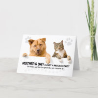 Funny Dog and Cat on White Mother's Day