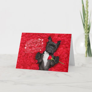 Funny Dog and Red Roses Happy Valentine's Day Card