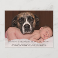 Funny Dog Baby Photo Birth Announcement