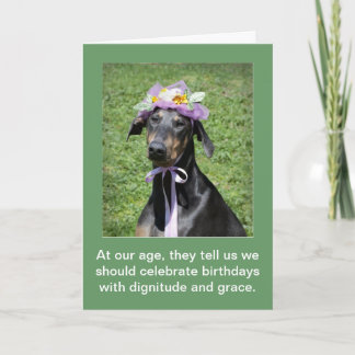 Funny dog Birthday Card