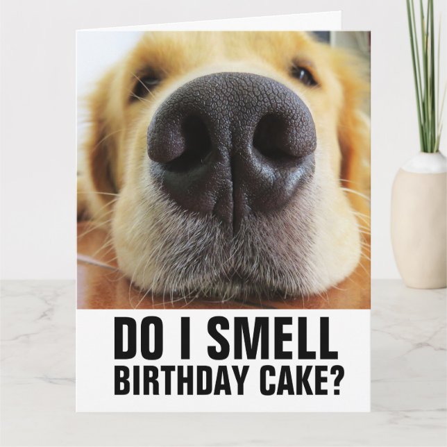 FUNNY DOG BIRTHDAY GREETING CARD (Front)