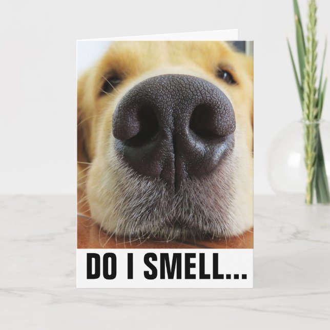 FUNNY DOG BIRTHDAY, SMELL BIRTHDAY CAKE? CARD (Front)