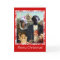 Funny dog Christmas card American Gothic spoof