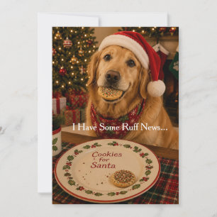 Funny Dog Christmas Card   Cookies for Santa