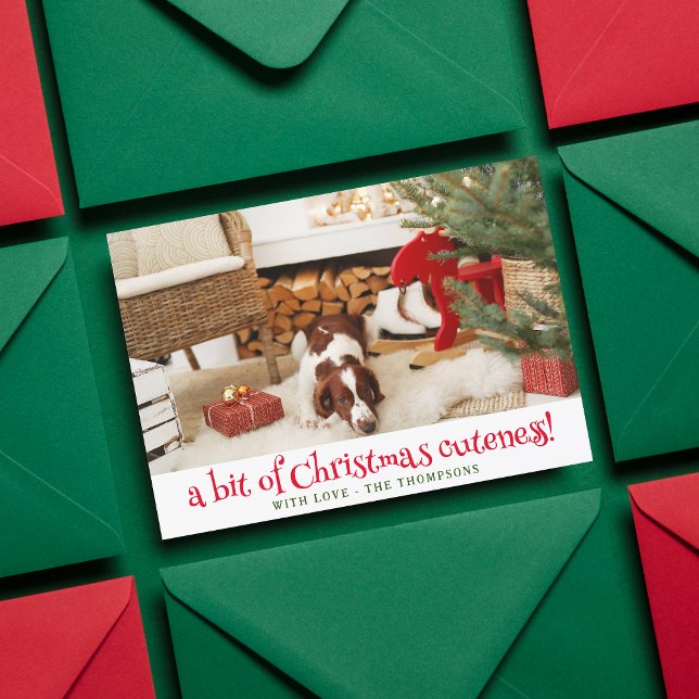 Funny Dog Christmas Picture Personalized Pet Photo Holiday Card (Creator Uploaded)