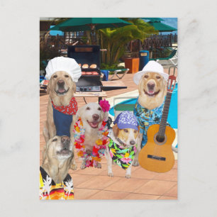 Funny Dog Customizable Pool Party Postcard