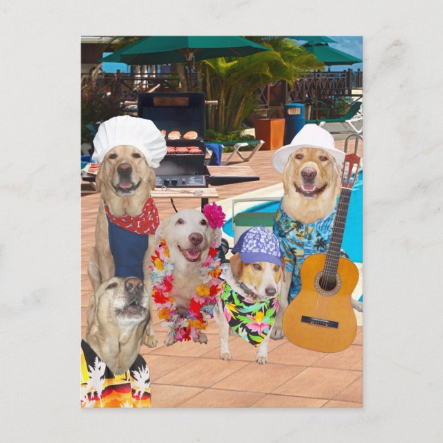 Funny Dog Customizable Pool Party Postcard Invite (Front)