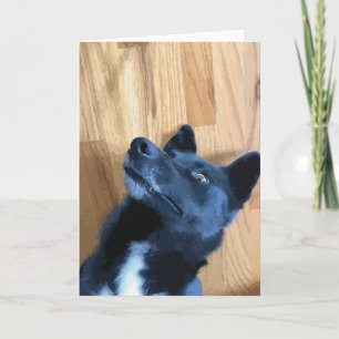 Funny Dog Face Laying Down Black And White Dog Card