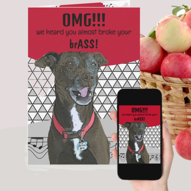Funny Dog Get Well for Brass Instrument Musician Card (Creator Uploaded)