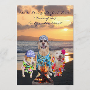 Funny Dog Graduation Party on the Beach Invitation