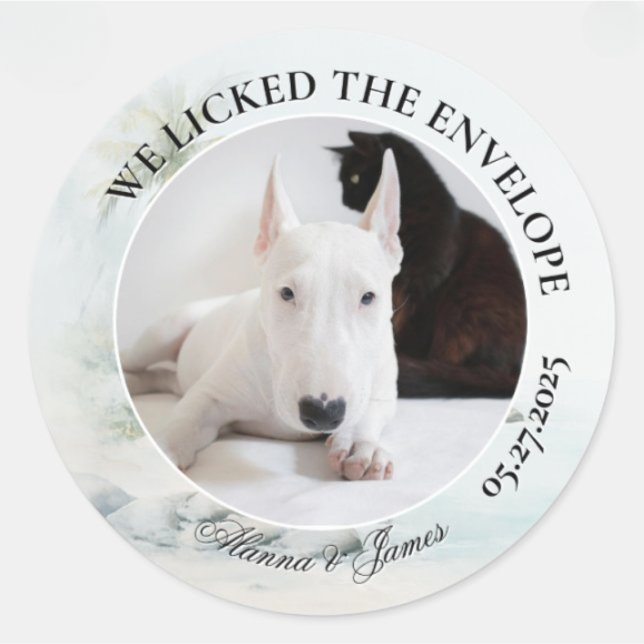 Funny Dog “I Licked the Envelope” Tropical Beach Classic Round Sticker (Round wedding sticker with dog and cat photo, “We Licked the Envelope,” and names Alanna and James.)