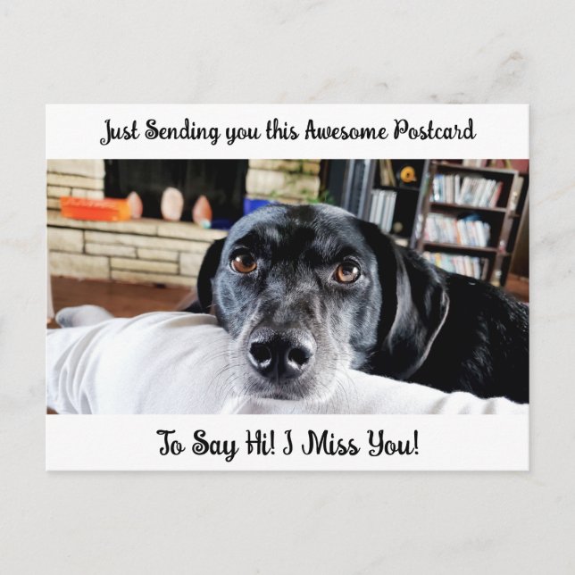 Funny Dog "I Miss YOU" Saying Hi  Postcard (Front)