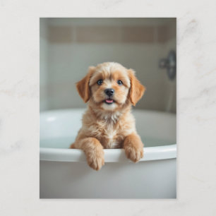 Funny dog in bathroom postcard