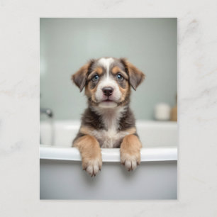 Funny dog in bathroom postcard