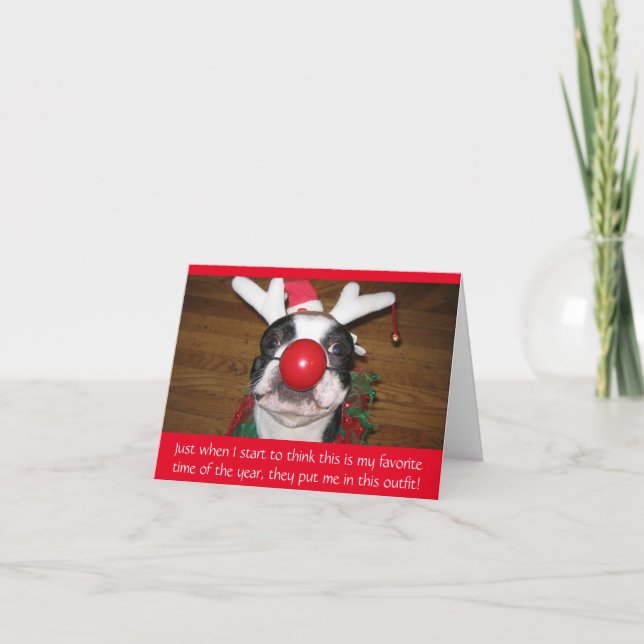 Funny Dog in Rudolph Nose Christmas Holiday Card (Front)
