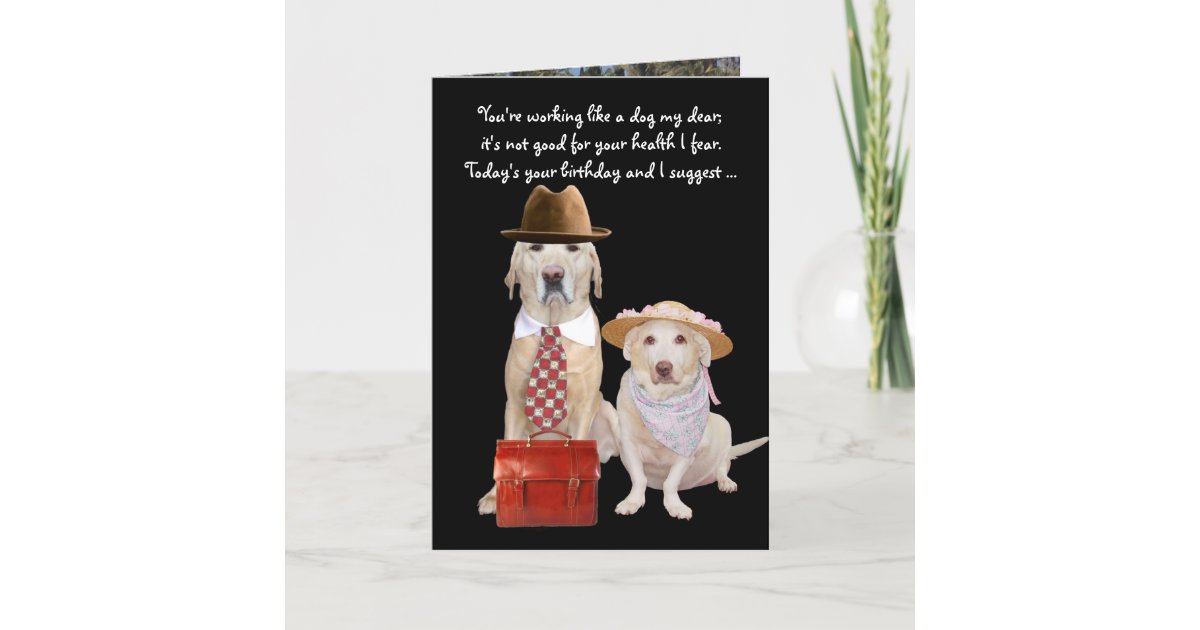 funny doglab birthday for husband card zazzleca