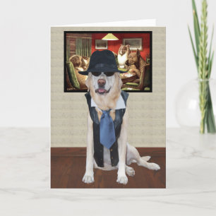 Funny Dog/Lab Birthday to a COOL Guy Card
