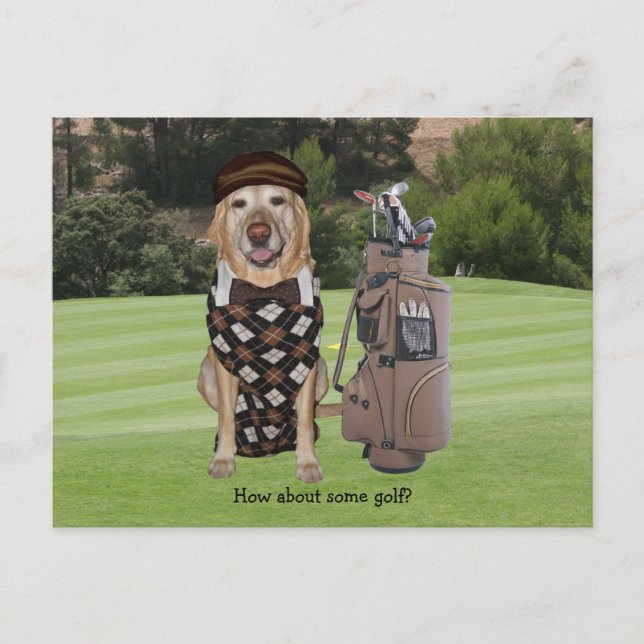 Funny Dog/Lab on Golf Course Postcard (Front)