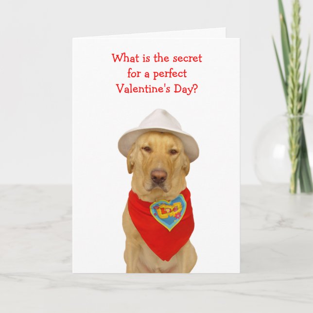 Funny Dog/Lab Valentine for Anyone Holiday Card (Front)