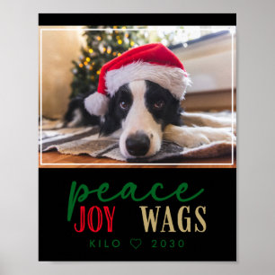 Funny Dog Lover Christmas Photo Cute D T Shirt  Poster