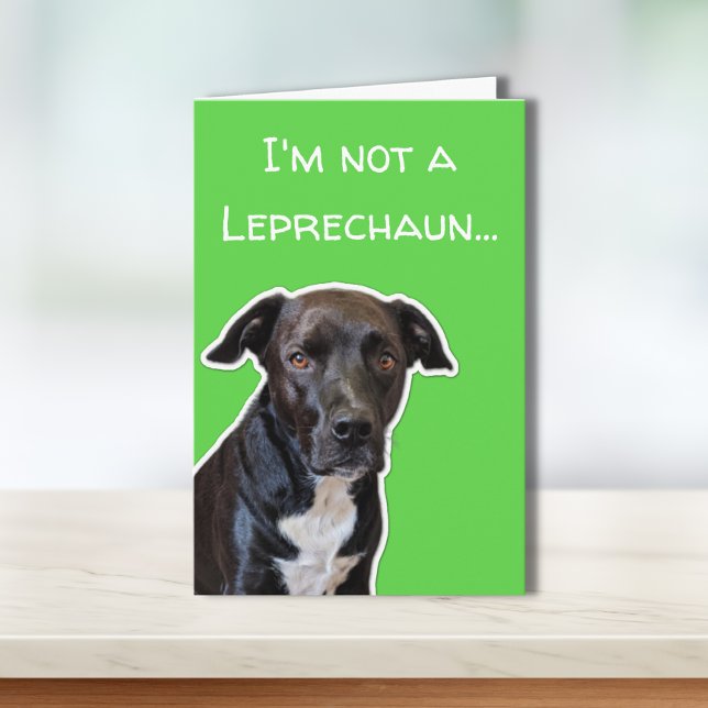 Funny Dog Lovers St. Patrick's Day Card (Creator Uploaded)