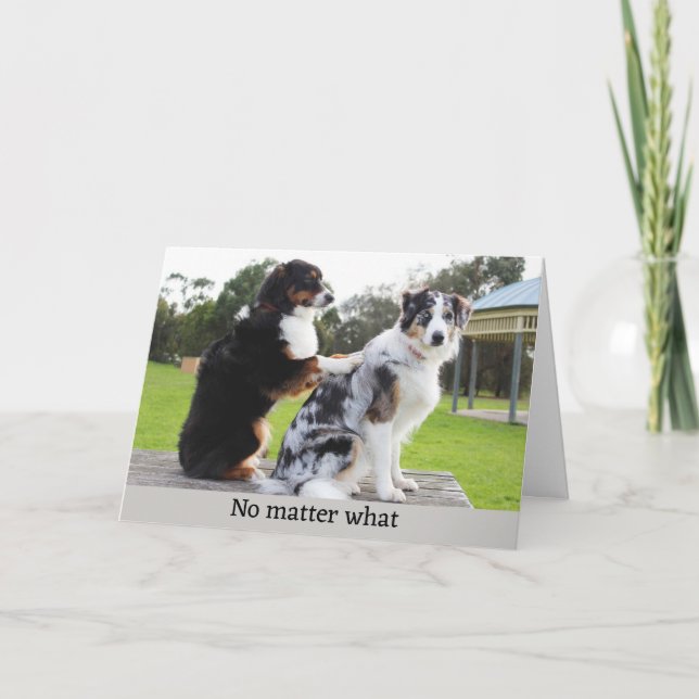 Funny Dog Massage Photo Holiday Card (Front)