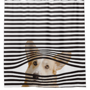 Funny dog Modern clipart stripes black and white