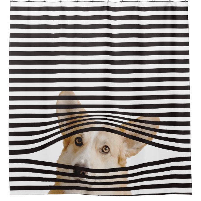 Funny dog Modern clipart stripes black and white (Front)