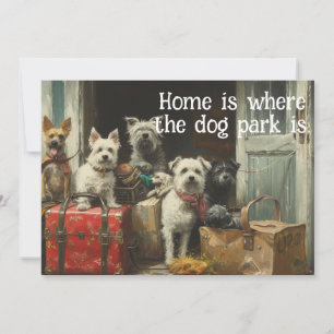 Funny Dog Moving New Address Announcement