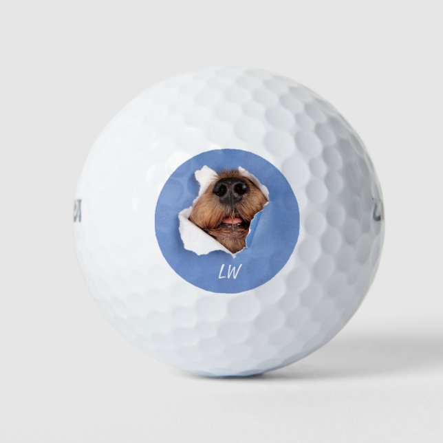 Funny Dog Nose Pet Humour Monogram Art Golf Balls (Front)