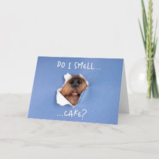 Funny Dog Peeking Through Card - Dog Birthday Card