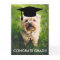 Funny Dog Photo Graduation Card, Custom Dog Photo