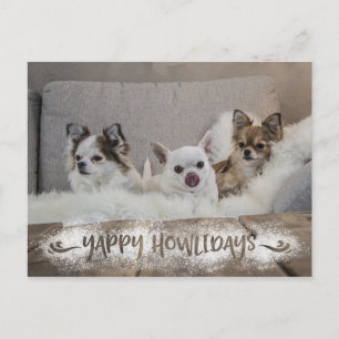 Funny Dog Photo Snowy YAPPY HOWLIDAYS Holiday Postcard