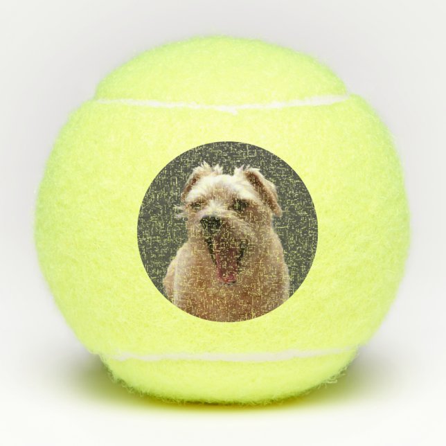 Funny Dog Photo Tennis Balls (Front)