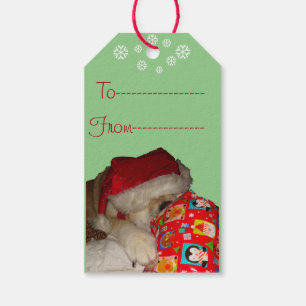 funny dog picture of cute akita for christmas gift tags